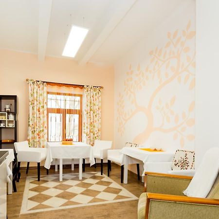 Pstrossova Vila - U Klasterni Zahrady Bechyně Kültér fotó